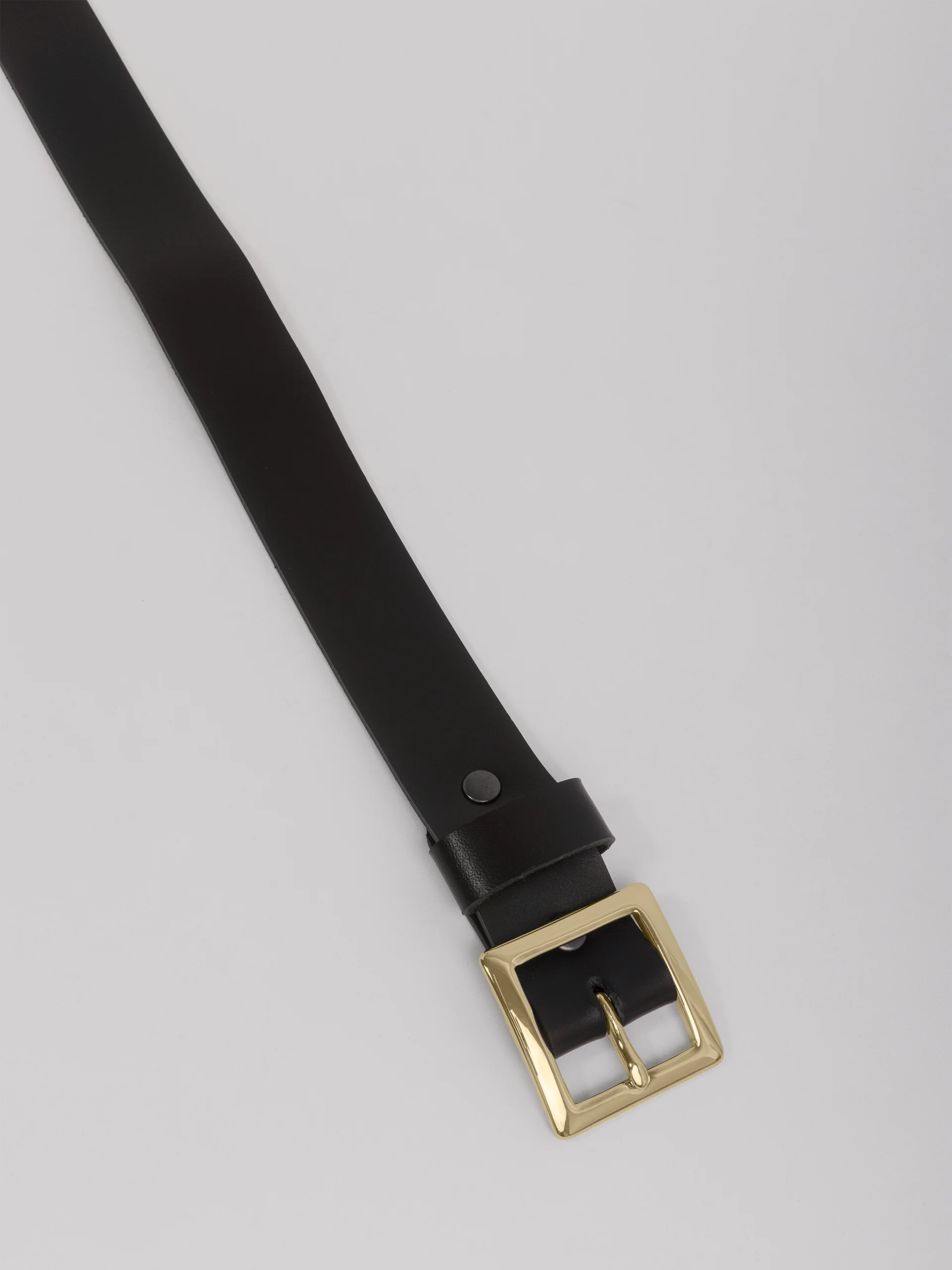 The Lair Daisy Mini Belt - Image 3